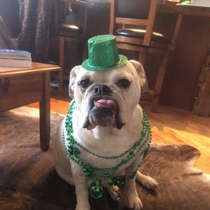 Meet your Posher, Michele